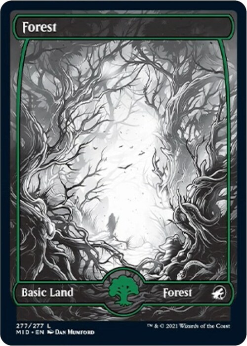 Forest Card Front