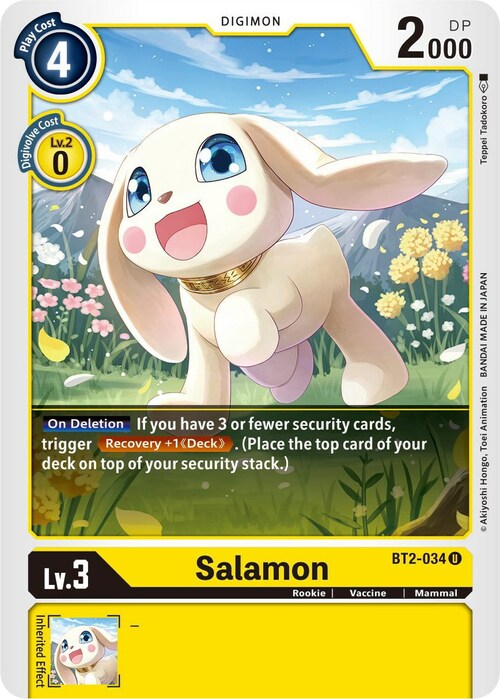 Salamon Card Front