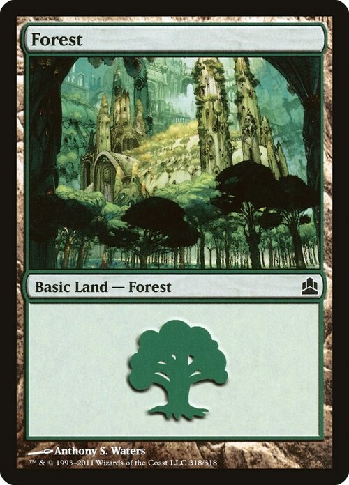 Forest Card Front