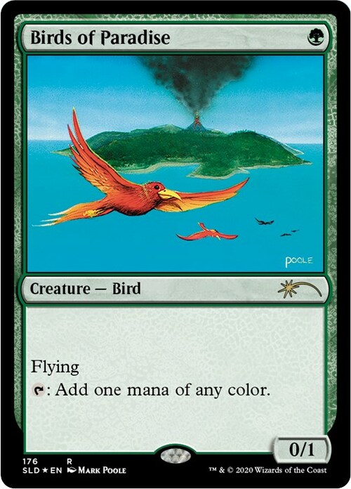 Birds of Paradise Card Front