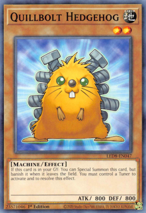 Quillbolt Hedgehog Card Front