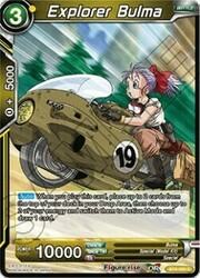 Explorer Bulma