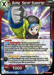 Bulma, Secret Supporter