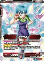 Bulma // Bulma, Familial Bonds