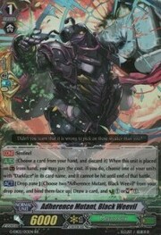 Adherence Mutant, Black Weevil [G Format]