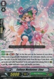 Calluna Musketeer, Elma [G Format]