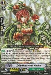 Tulip Musketeer, Almira [G Format]