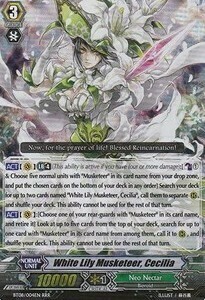 White Lily Musketeer, Cecilia Card Front