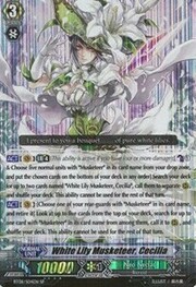 White Lily Musketeer, Cecilia