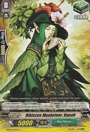 Hibiscus Musketeer, Hanah [G Format]