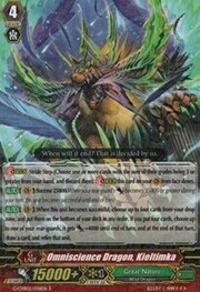 Omniscience Dragon, Kieltimka