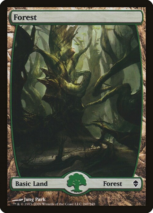 Forest Card Front