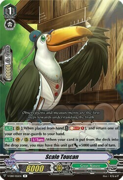 Scale Toucan Card Front