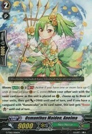 Osmanthus Maiden, Anelma [G Format]