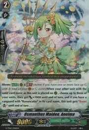 Osmanthus Maiden, Anelma [G Format]