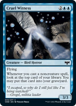 Cruel Witness Card Front