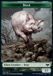 Boar