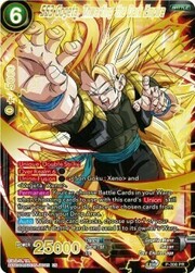 SS3 Gogeta, Thwarting the Dark Empire