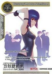 Kusanagi Motoko & Section 9