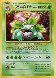 Venusaur Lv.67