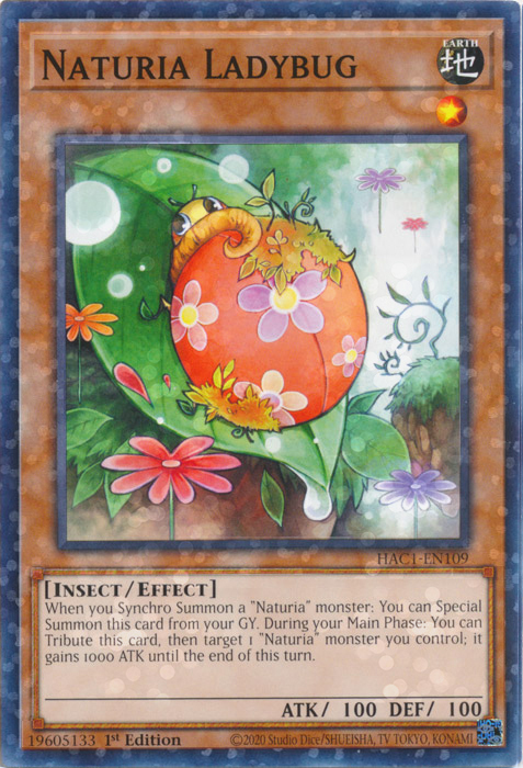 Naturia Ladybug Card Front