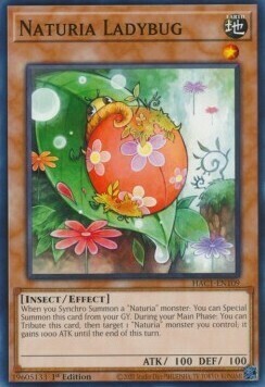 Naturia Ladybug Card Front