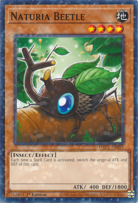 Naturia Beetle Card Front