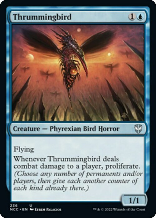 Thrummingbird Card Front