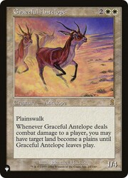 Graceful Antelope