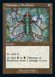 Talisman of Resilience