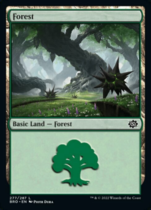 Forest Card Front