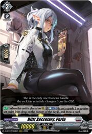 Blitz Secretary, Perfe [D Format]