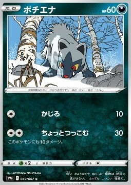 Poochyena Card Front