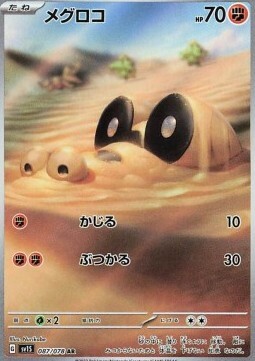 Sandile Card Front