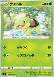 Turtwig