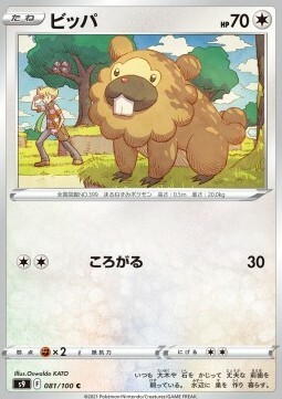 Bidoof Card Front