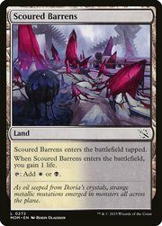 Scoured Barrens