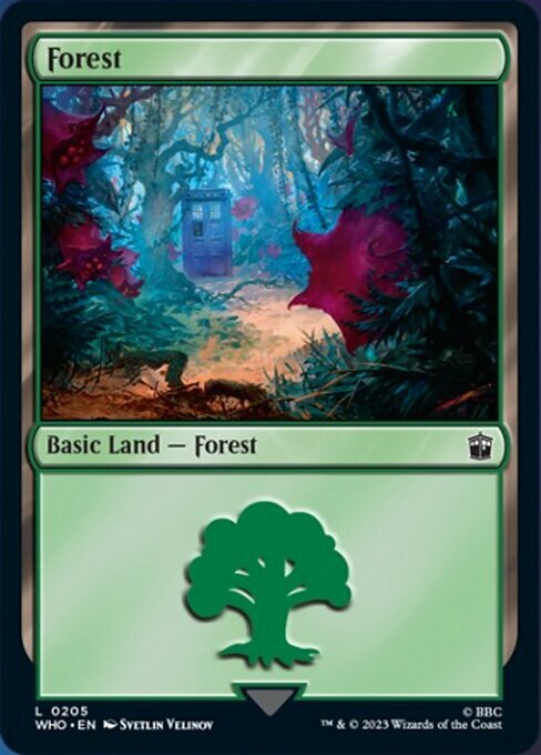 Forest Card Front