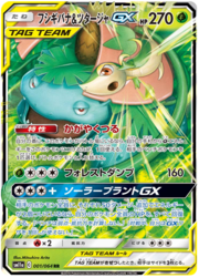 Venusaur & Snivy GX