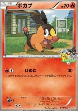 Tepig Card Front