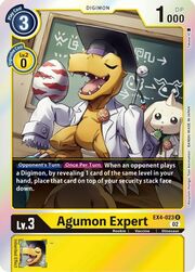 Agumon Expert