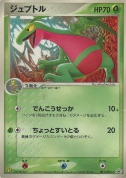 Grovyle Card Front