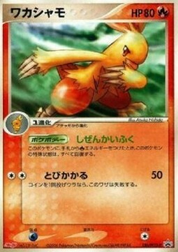 Combusken Card Front