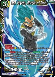 SSB Vegeta, Disciple of Gods