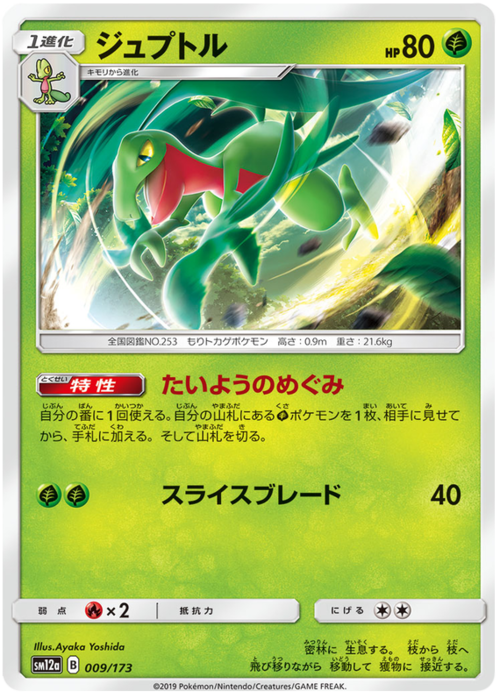 Grovyle Card Front