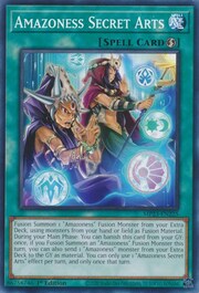 Amazoness Secret Arts