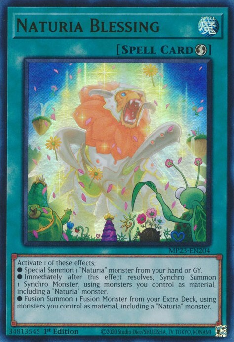 Naturia Blessing Card Front