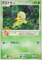 Turtwig Lv.9