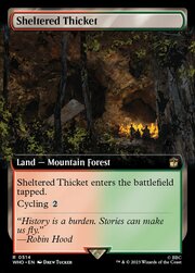 Sheltered Thicket