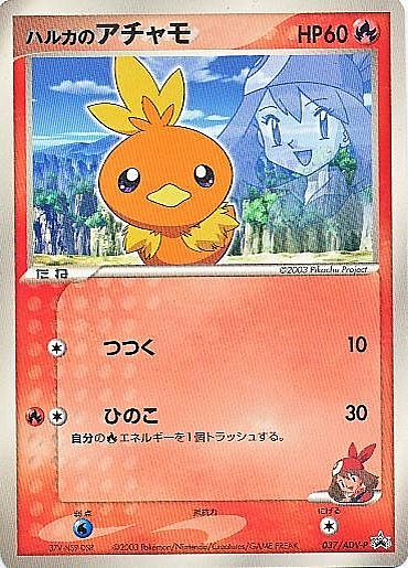 May's Torchic Card Front